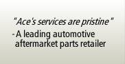 'Ace's services are pristine' - A leading automotive aftermarket parts retailer